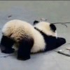 念去去
