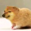 ，_819