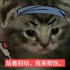 一条咸鱼而已