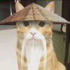 七号电池