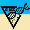 class基因影响