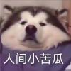 醉生☆梦死的头像-助眠云视听