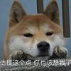 半梦半醒半迷茫