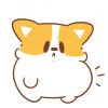 不万能青年