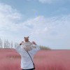 Yidd的头像-魔酷网
