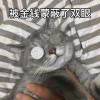 天枫_271