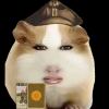 AaAatttt的头像-【TITAIKE】T太科网