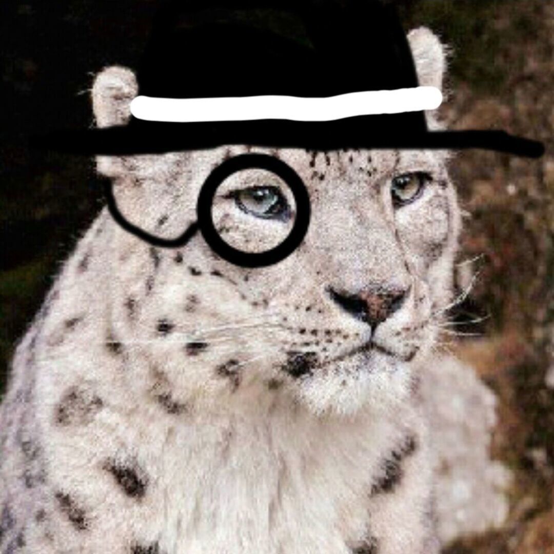 snowleop
