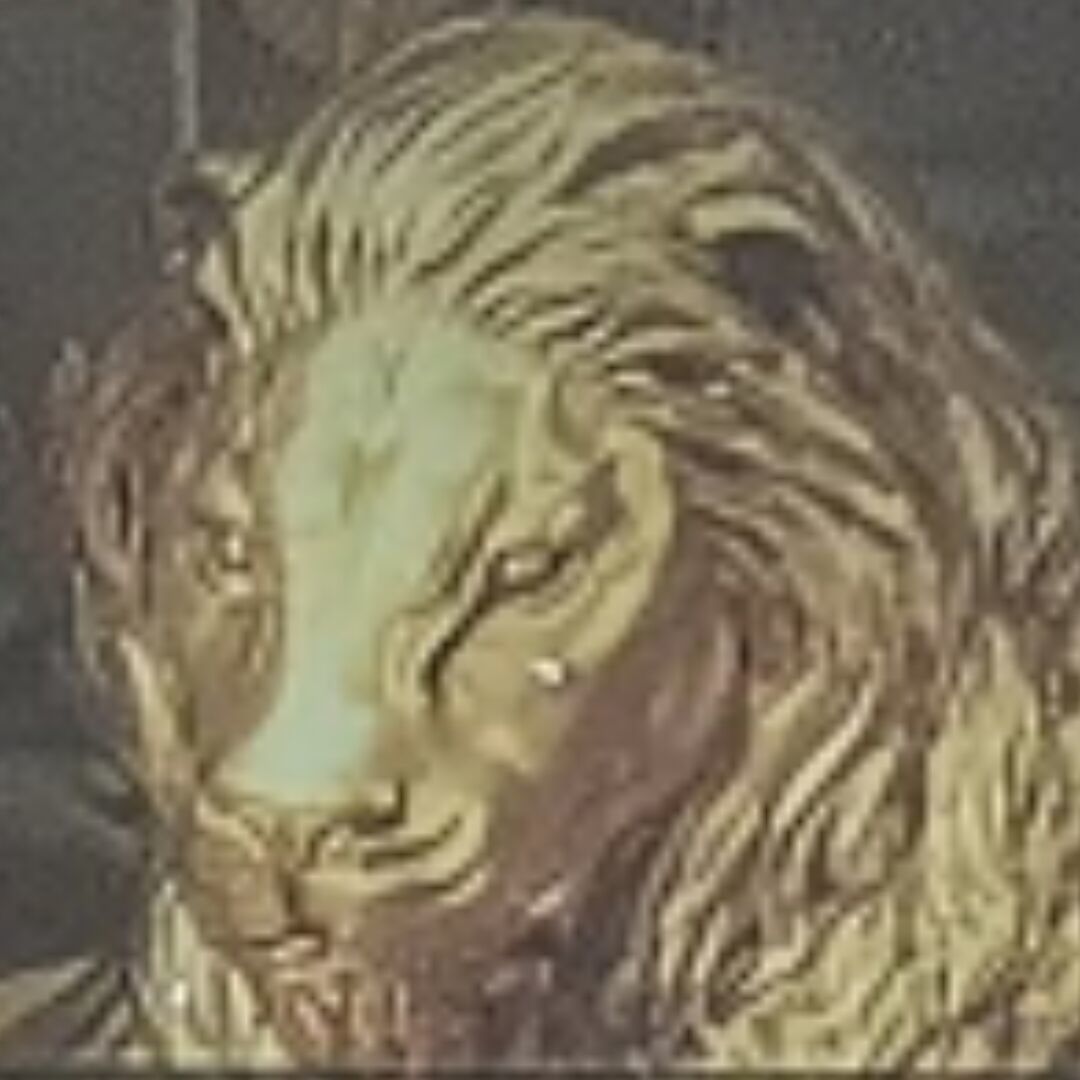 卡莫纳一只狮