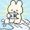 依旧是31