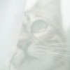 mao