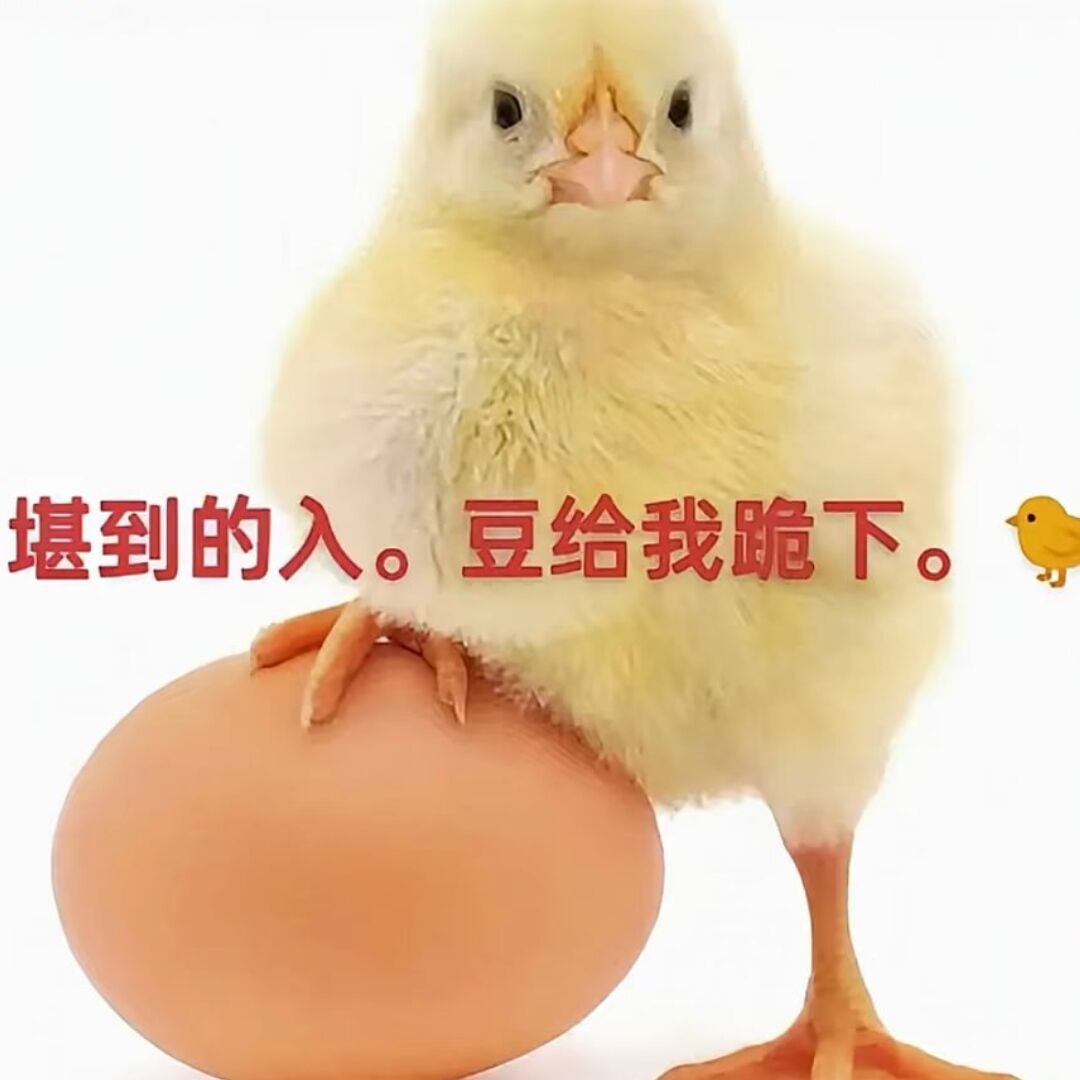 吃饭睡觉打豆豆