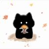 吴晨宇