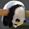 许某人_163