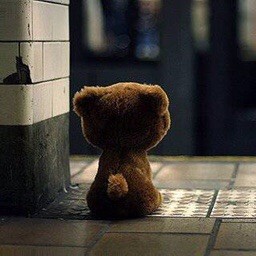 梦想有条看门狗。