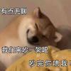 柠檬(˵¯͒〰¯͒˵)
