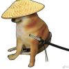 触弦之音