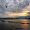 小罗-资源V站