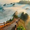 片叶梨花压海棠