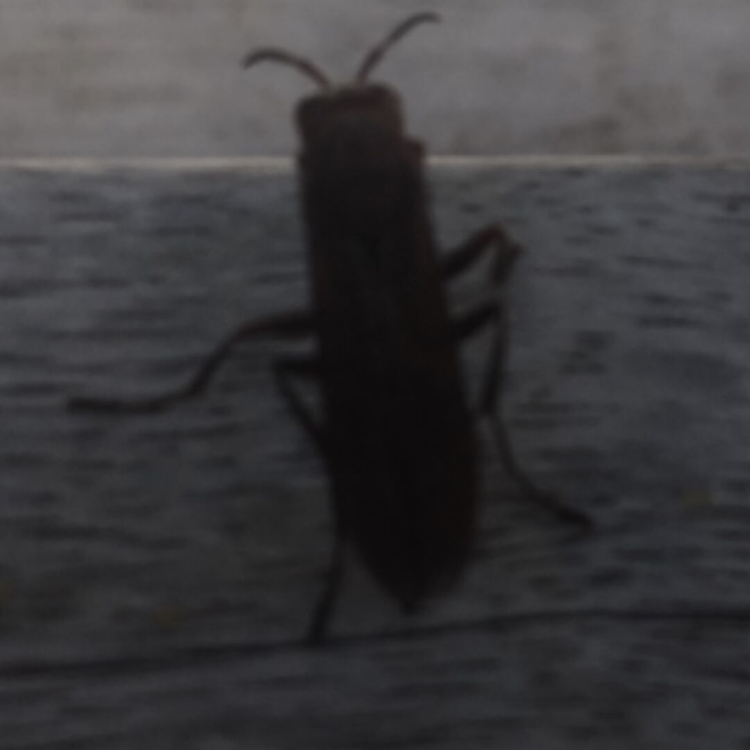 AAA行星发动机批发王哥