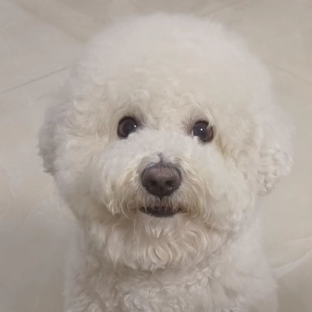 杨_824