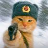 猫拿耗子法老王