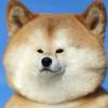 ：…∴…灬∵…