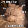 不要啊小美的头像-iPA资源站