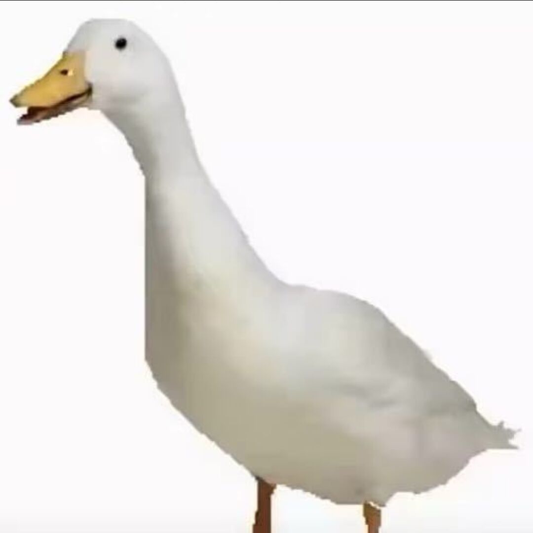 鹅少