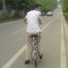 紫杉树.kavid