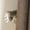 阿杜根翻山不留根的头像-紫洋·game·社区