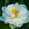 枫果的头像-魔酷网