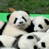 love~~~kiss