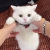 曦晓的头像-【TITAIKE】T太科网