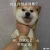 　　　明镜的头像-七玩网