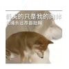 薄荷微光少年