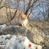 xiaojiu888-汇一线首码网
