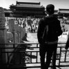 好青年、知书达理的头像-iPA资源站