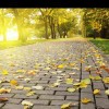 user52622427的头像-iPA资源站