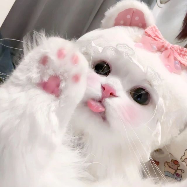 a'ゞ无忧.网络