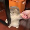 三途河畔