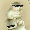 仓鼠（未果）