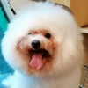 砍甘蔗最帅的男人的头像-LSPosed中文网