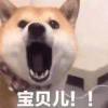 。总好