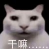 舒服佳的 JA的头像-CreateMC