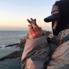 月烬落