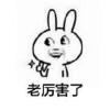 飞扬