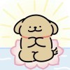 用户81313535的头像-iPA资源站