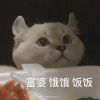一条鱼