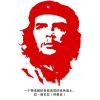 江山看不尽，